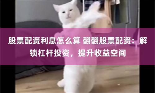 在线股票炒股配资门户